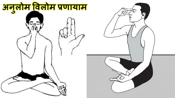 Anulom Vilom Pranayam in Hindi: जानिए इस योग के फायदे