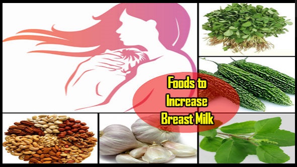 Foods to Increase Breast Milk: स्तन का दूध बढ़ाने के आसान तरीके