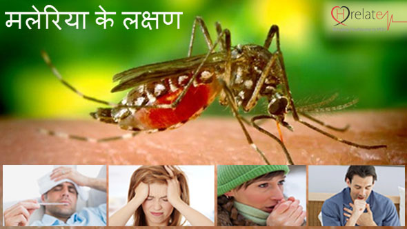 जानिए मलेरिया के लक्षण और इसके उपचार सम्बंधित जानकारी
