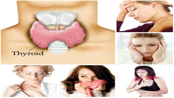 Thyroid Symptoms In Hindi - थायरायड के प्रमुख लक्षण