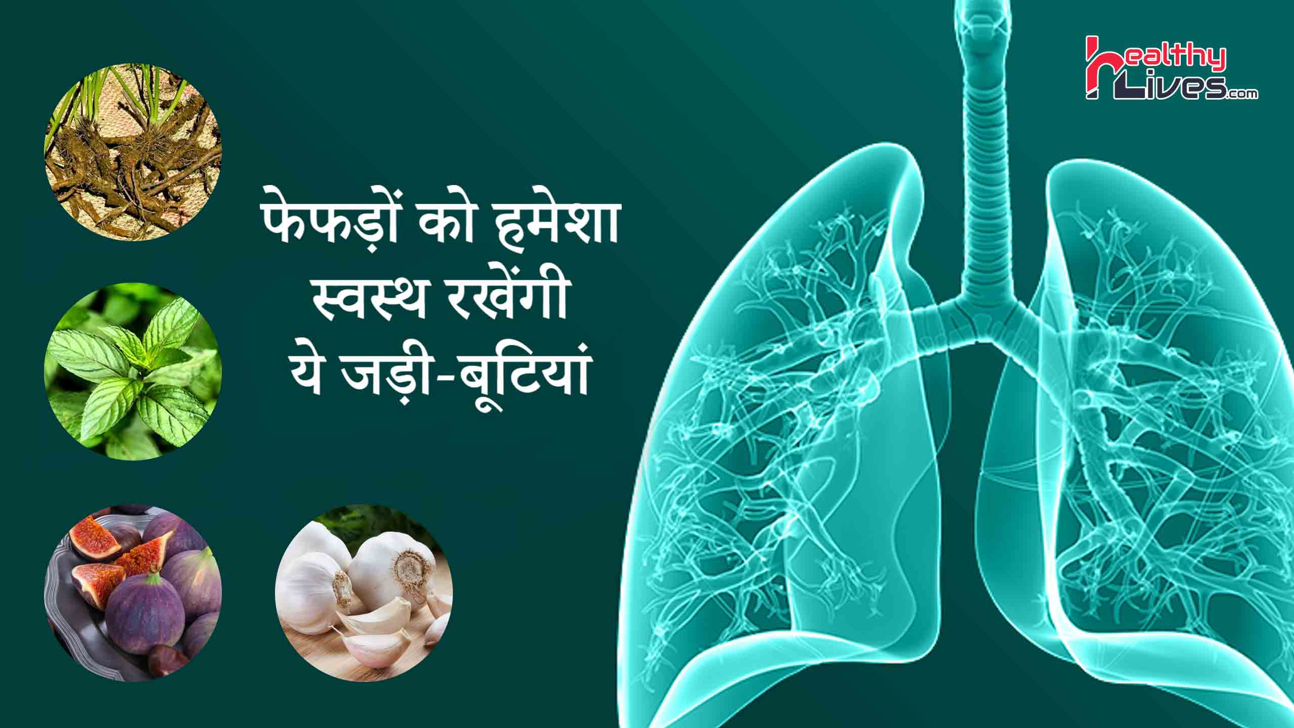 Herbs for Lungs Health - फेफड़ों को स्वस्थ रखने में मदद करे
