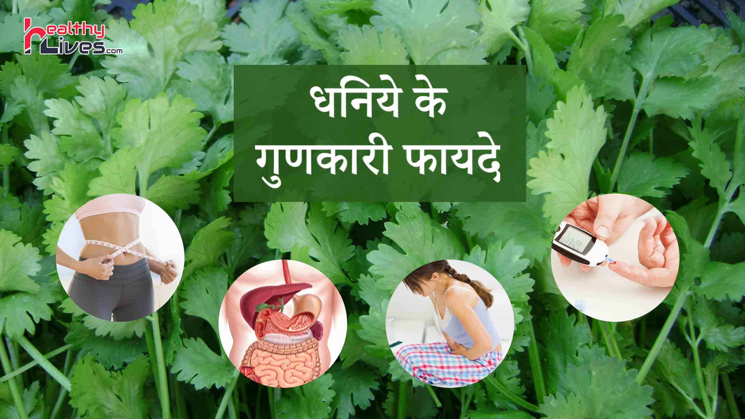 Coriander Benefits in Hindi: खाने का स्वाद बढ़ाये, रोगो को दूर भगाये