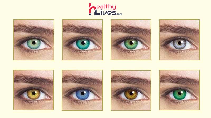 Types-of-Contact-Lenses-in-Hindi