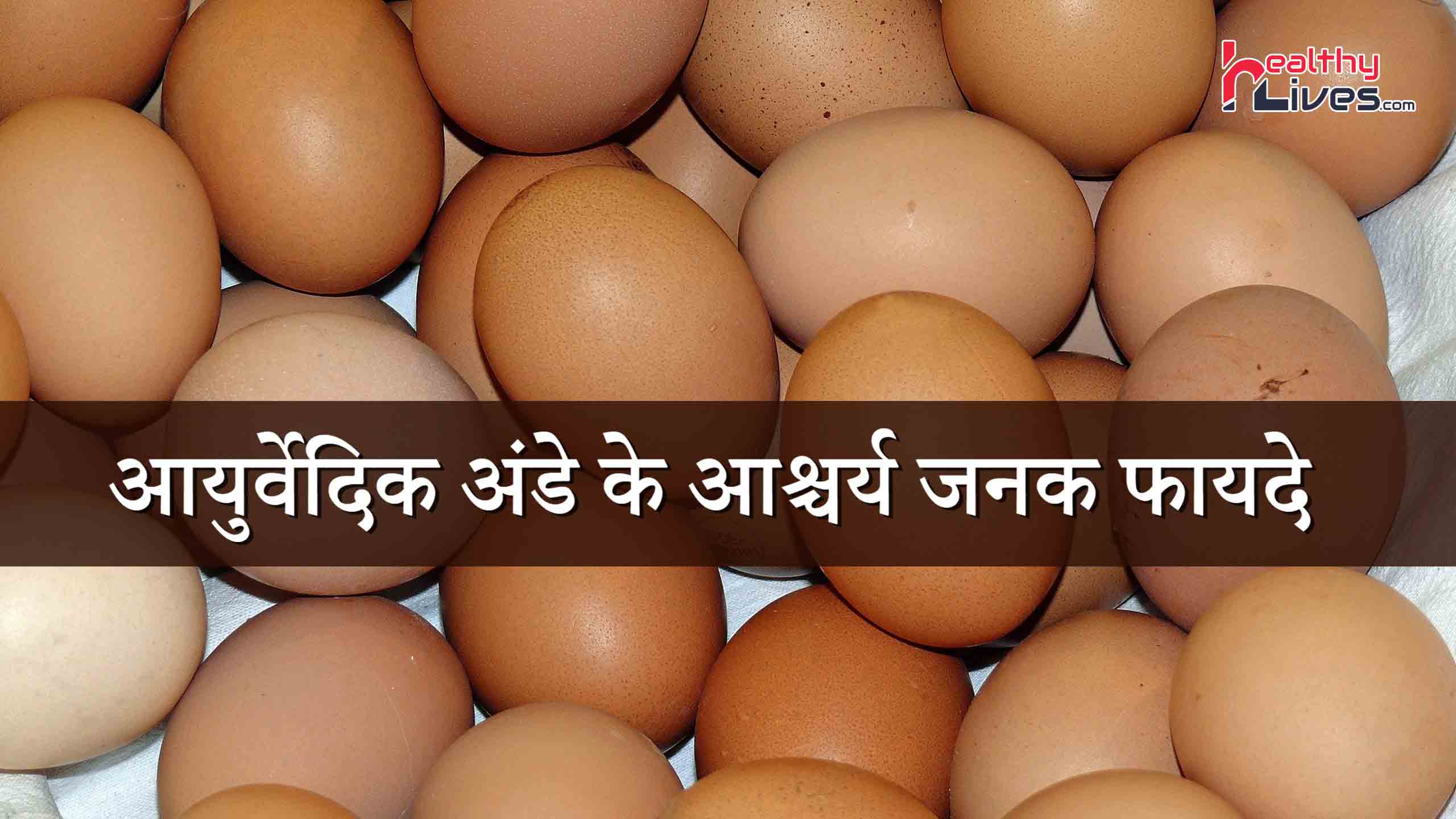 Eggs Ayurveda: मार्केट में लांच हुआ आयुर्वेदिक अंडा, जाने इसके बहुमूल्य फायदे