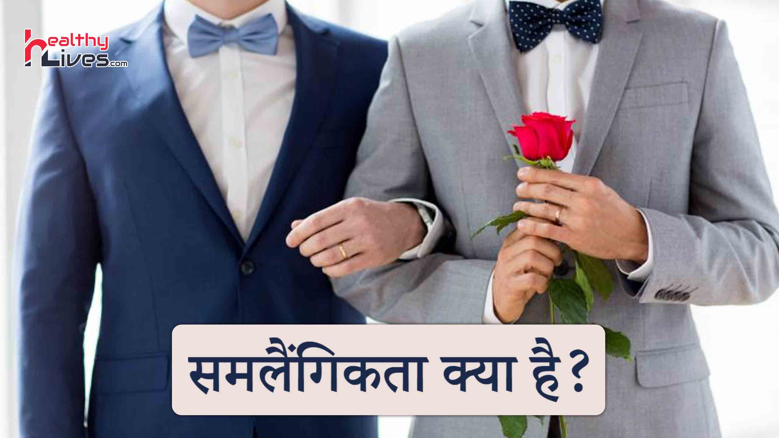 hindi essay gay