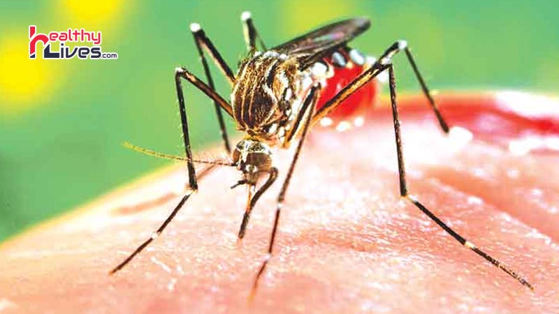 Ayurvedic-Medicine-for-Dengue-In-Hindi