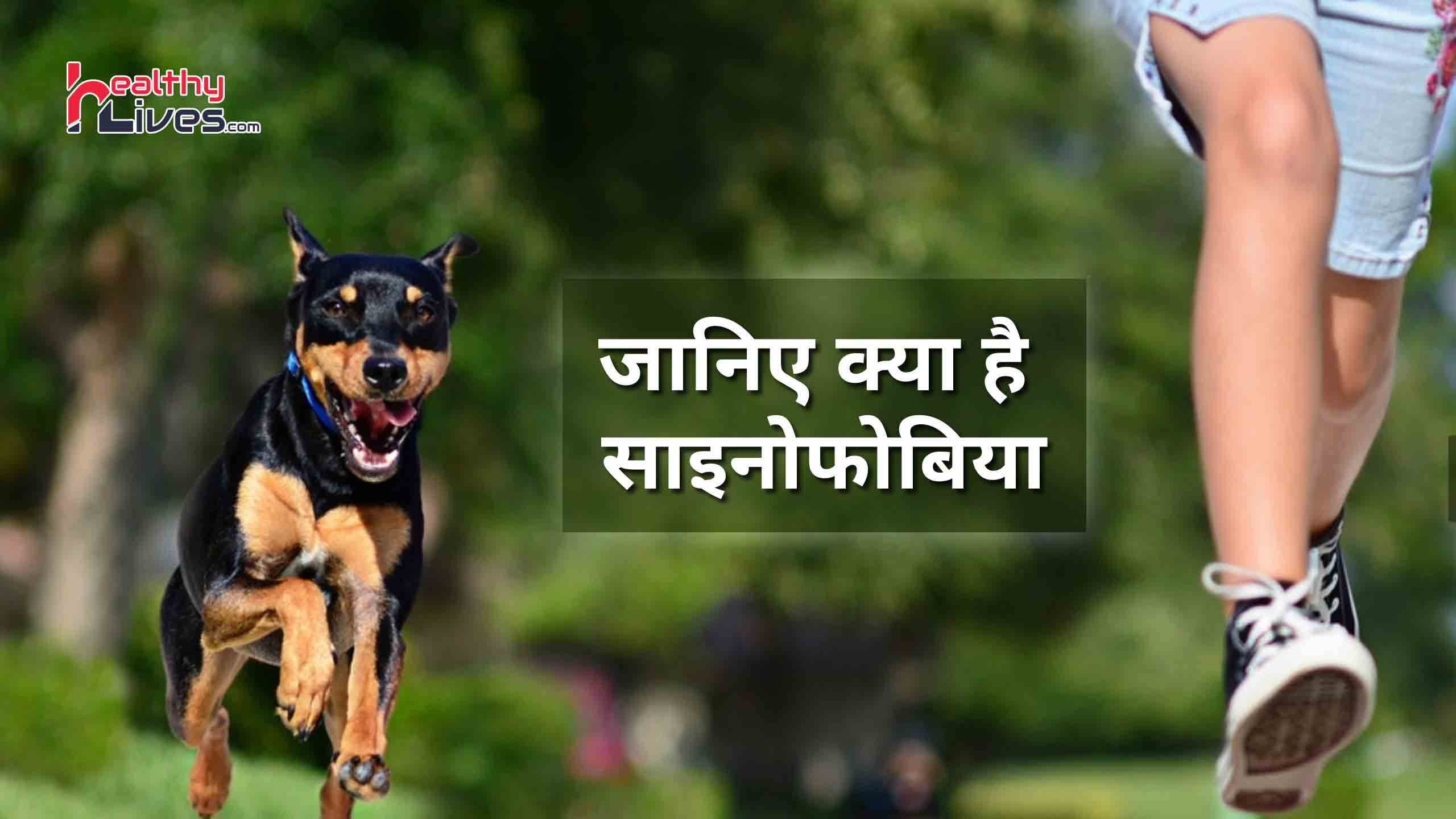 Cynophobia in Hindi: कुत्तों से खौफ की बीमारी साइनोफोबिया से कैसे पायें निजात