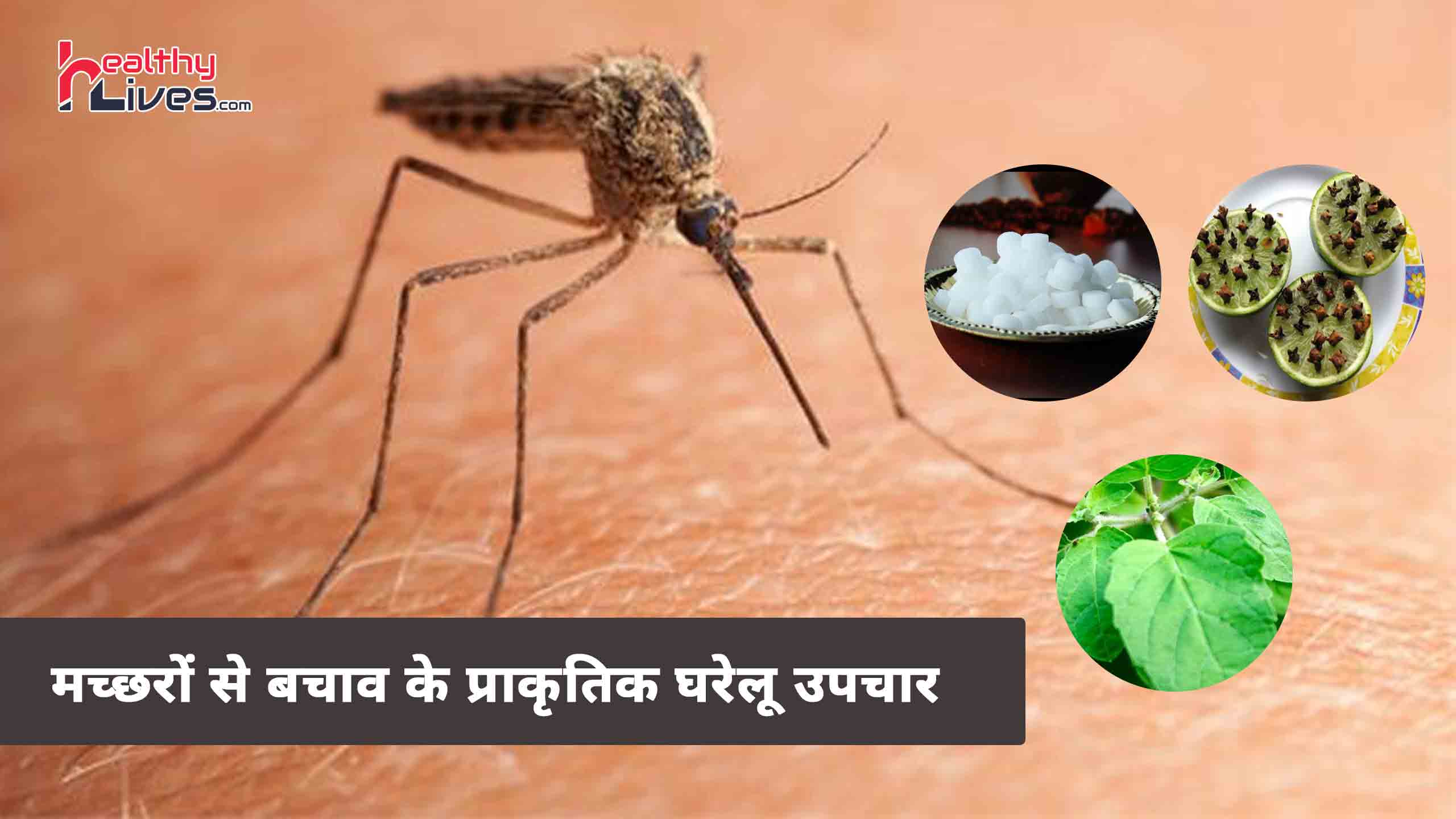 Natural Mosquito Repellent: मच्छरों से बचाव के असरकारी घरेलु उपाय