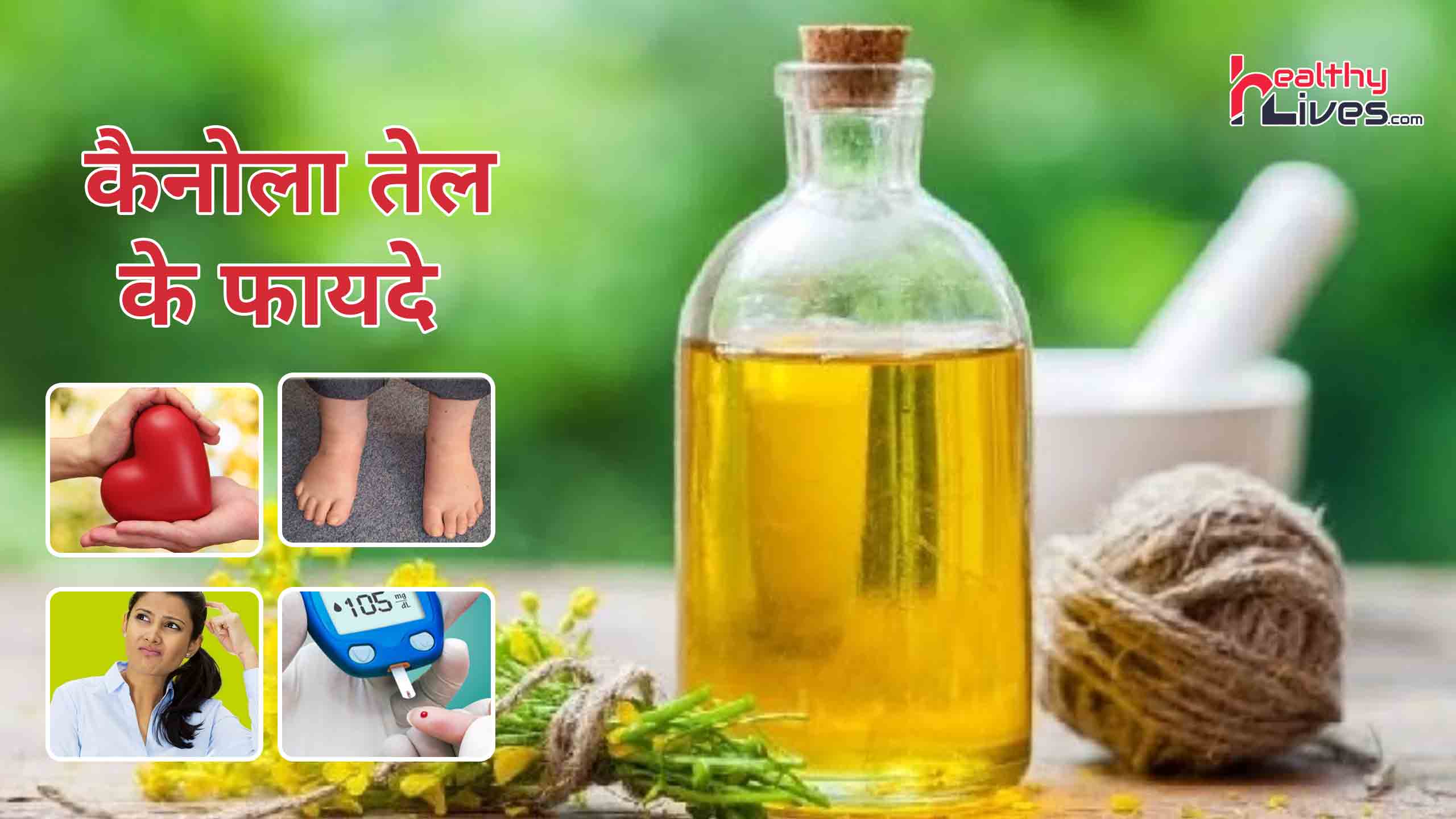 Canola oil Benefits in Hindi: कैनोला के तेल का इस्तेमाल देगा आपको बहुत सारे स्वस्थ्य लाभ