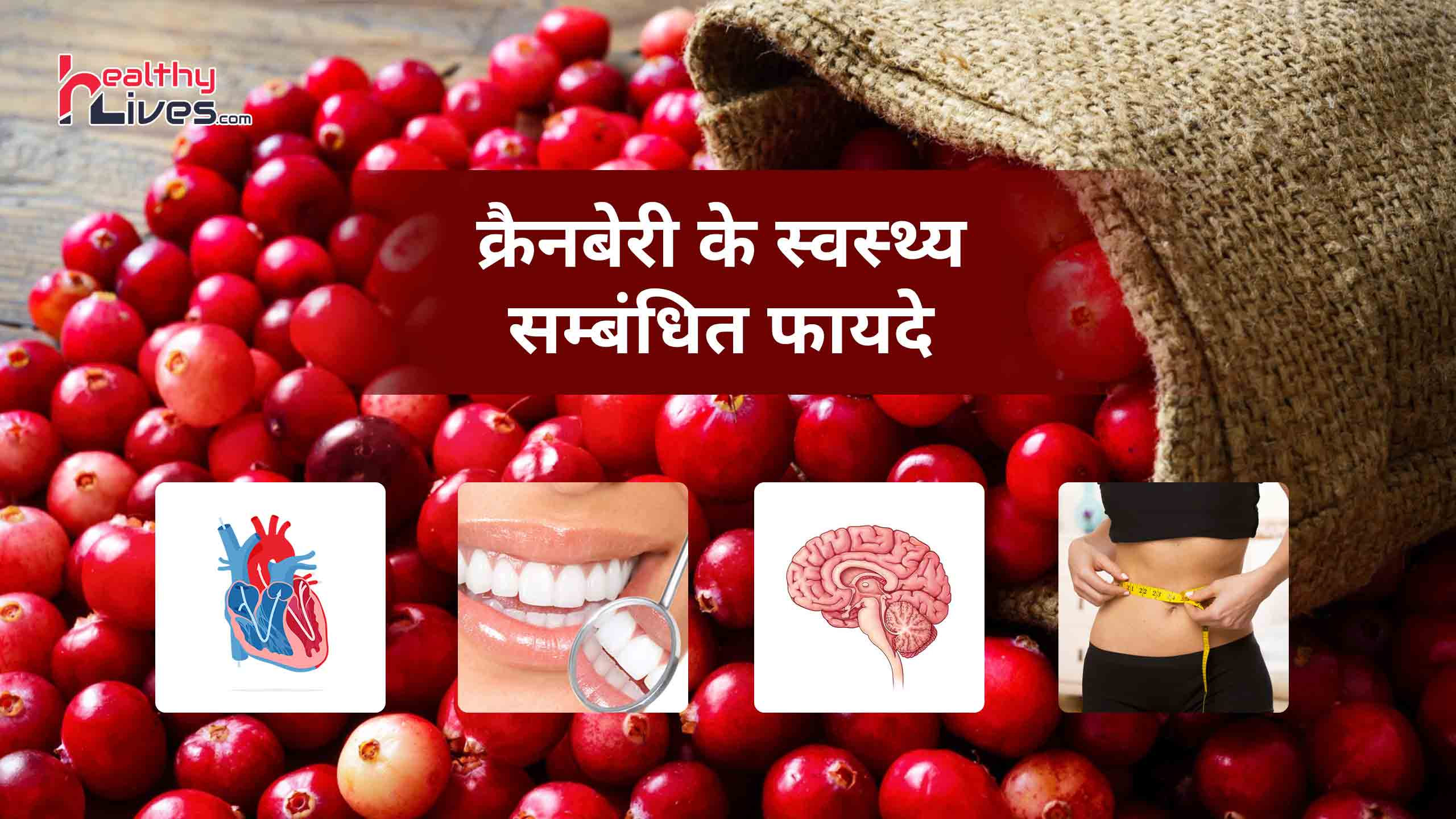 Cranberry Benefits In Hindi: क्रैनबेरी के फल से दूर होंगी शरीर की कई बीमारियाँ