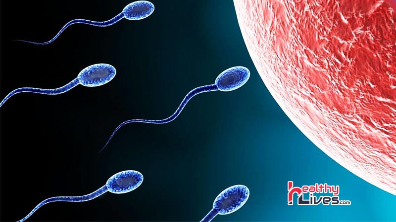 How-to-Increase-Sperm-Motility-in-Hindi