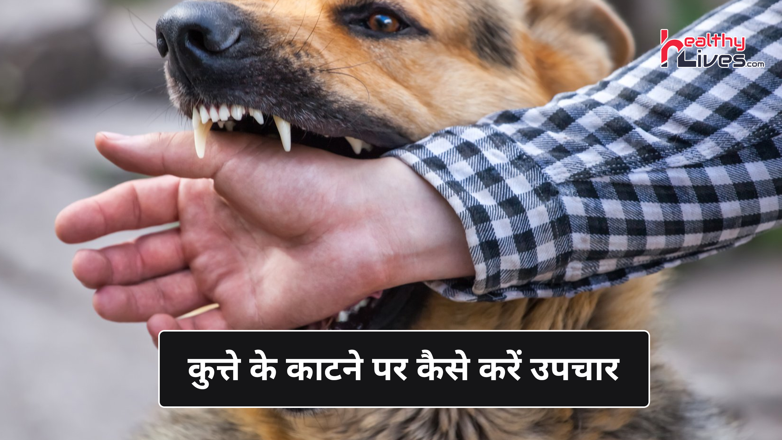 Dog Bite Treatment in Hindi: कुत्तों के काटने से होने वाली बीमारी रेबीज का इलाज