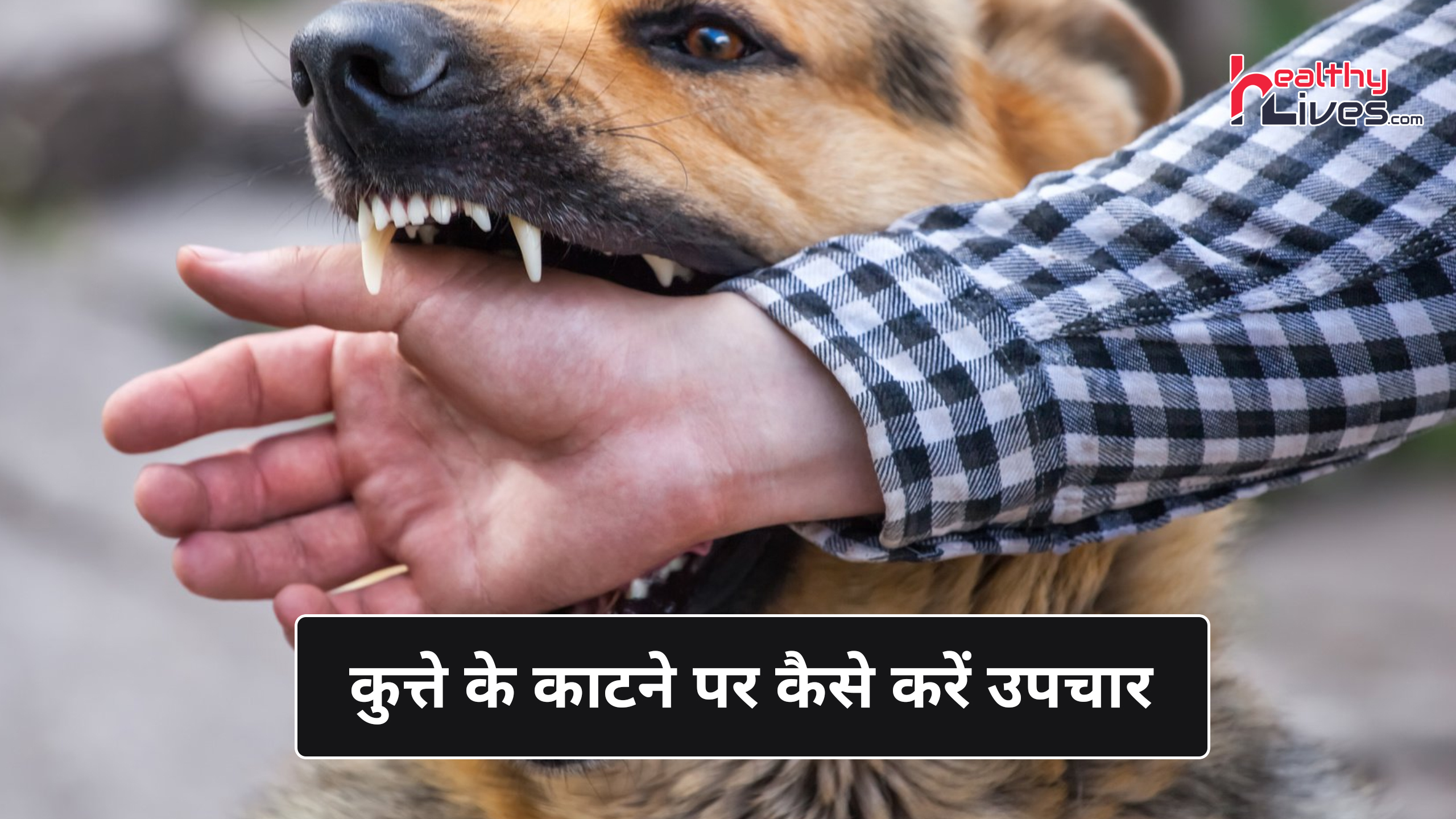 Dog Bite Symptoms In Hindi