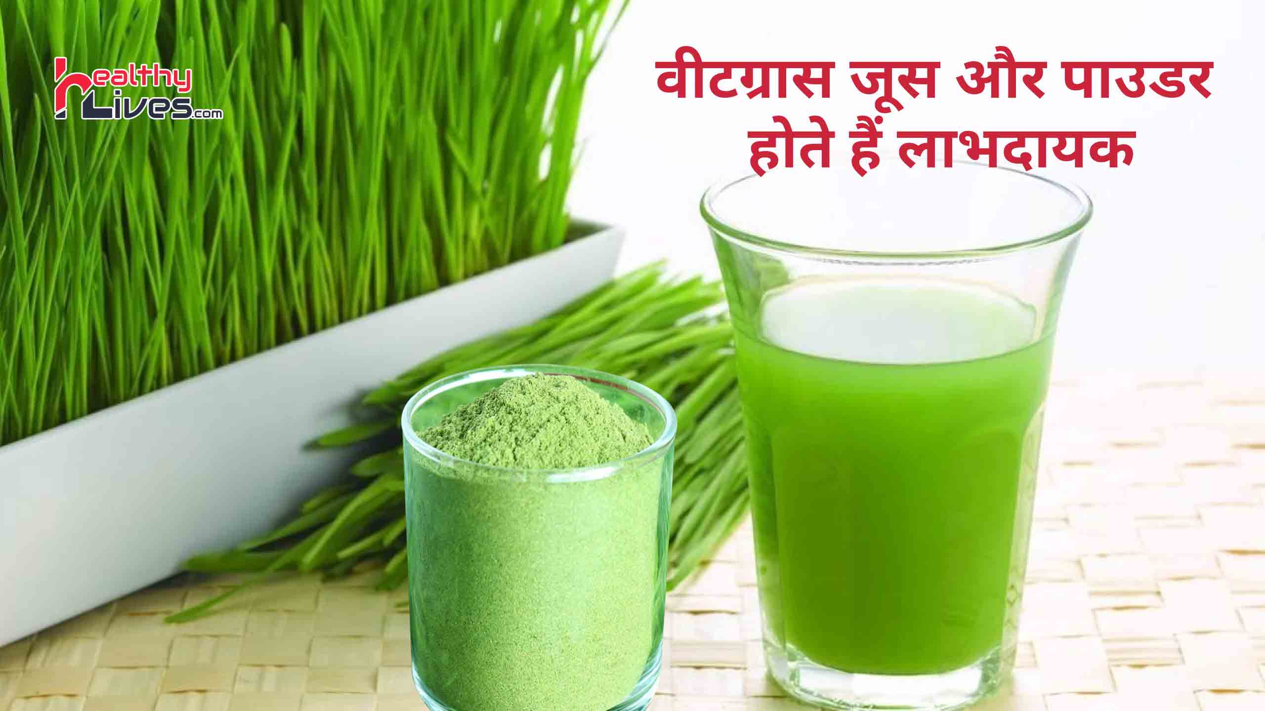 Wheat Grass Juice Powder Benefits: अमृतीय गुणों से भरपूर होता है व्‍हीटग्रास