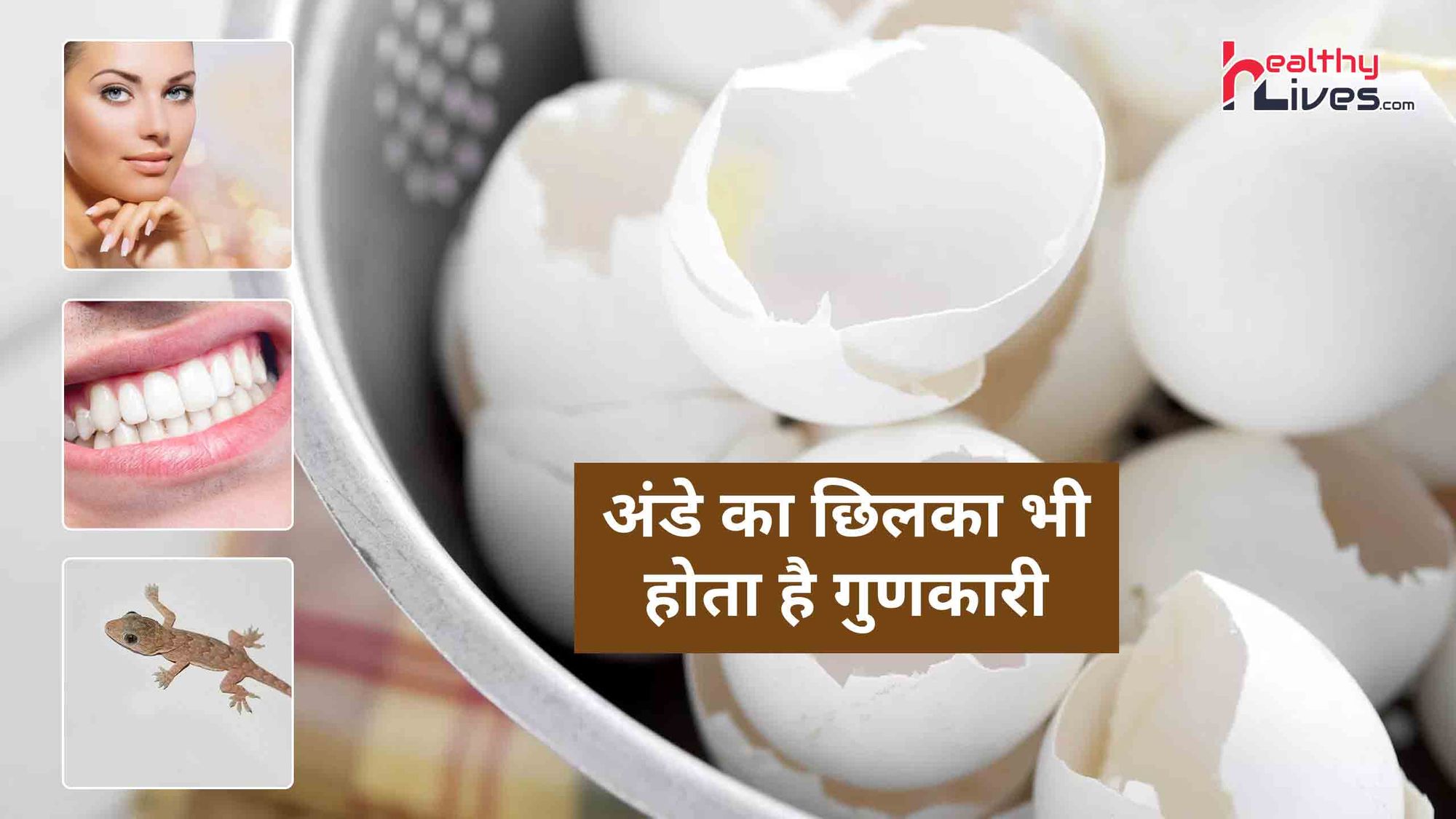 Egg Shell Benefits: अंडे का छिलका ख़ूबसूरती बढ़ने के साथ देगा कई और फायदे