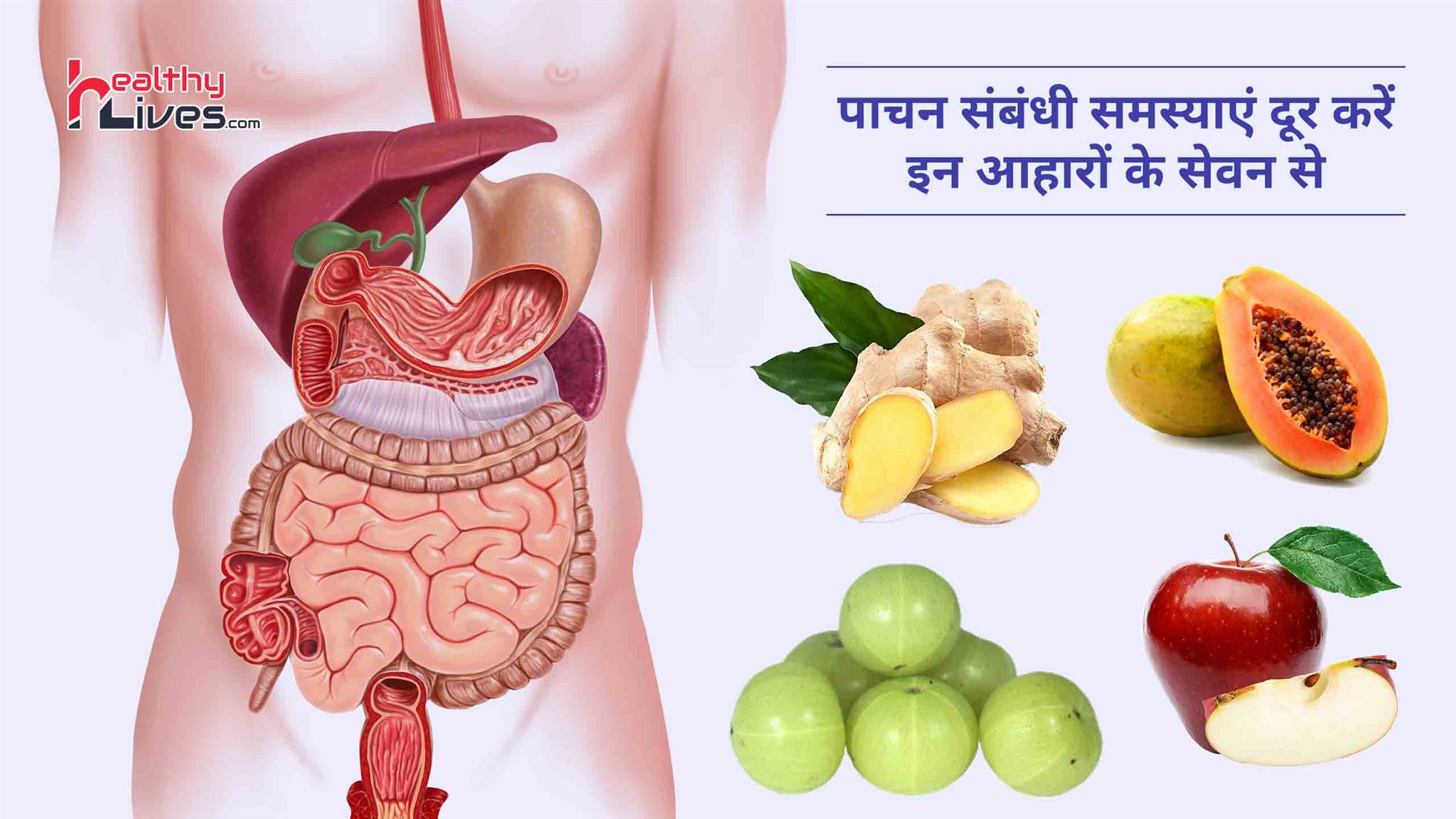 Foods Good for Digestion: पाचनक्रिया को बेहतर बनाने में मददगार होंगे ये आहार